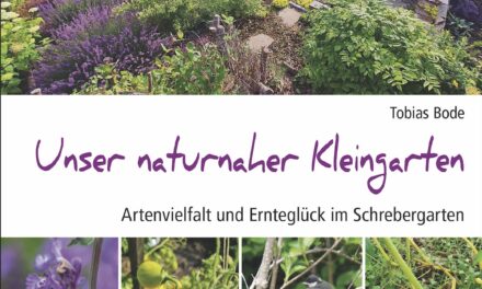 Tobias Bode: Unser naturnaher Kleingarten