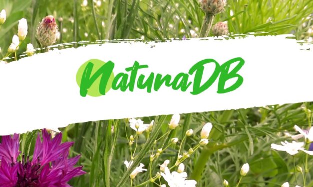 DGMNO #46: NaturaDB – Wie stellt man Pflanzenwissen zur Verfügung?